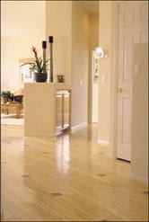 bamboo floor: green materials