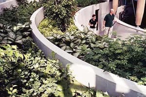 2004_8_3_reactors.jpg