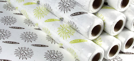 seed_blooming_gift_wrap.jpg