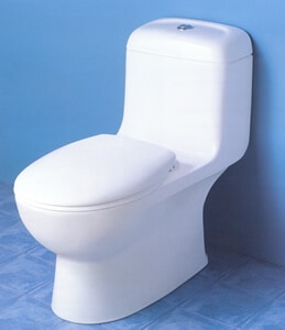 Caroma Caravelle Dual-Flush Toilet