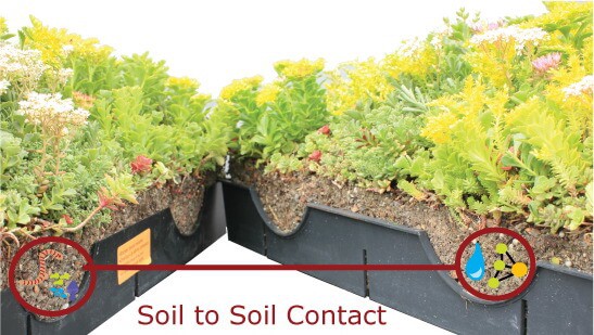 LiveRoof Green Roof System