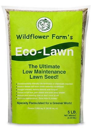 Eco-Lawn Low Maintenance Grass Seed