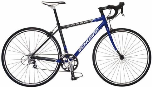 Schwinn Fastback Road Bike