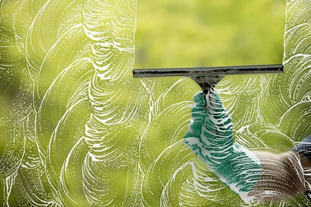 Efficient Glass Cleaner- Sprayway