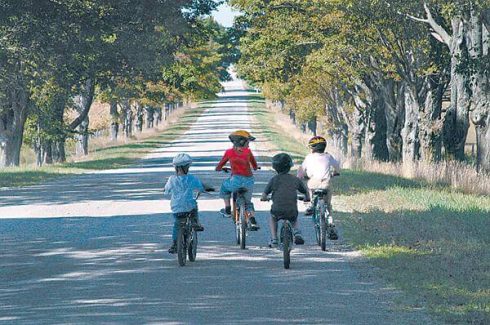 Bike For Kids