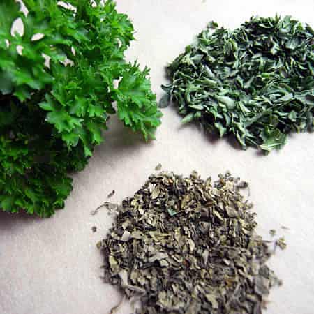 parsley-fresh-dried