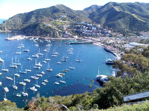 Catalina-Island-View-of-Avalon