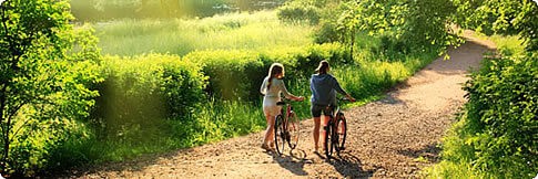 bike-country-lane