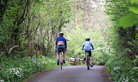 biking-on-country-road