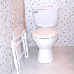 Nature's Platform: A Device To Retrofit Toilets For Squatting Nature's Platform: A Device To Retrofit Toilets For Squatting