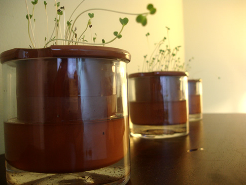 self-watering-container.jpg